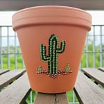 Cactus Plant Pot