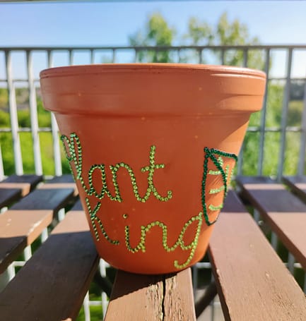 Plant King Sparkle Rhinestone Plant Pot