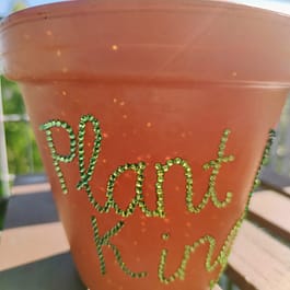 Plant King Plant Pot